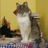 Отзыв от Алина Широкова